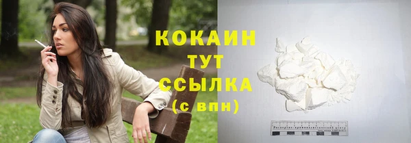 дживик Алзамай