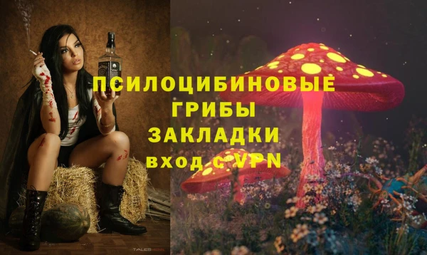 apvp Алексин