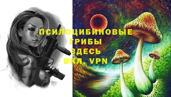 apvp Алексин
