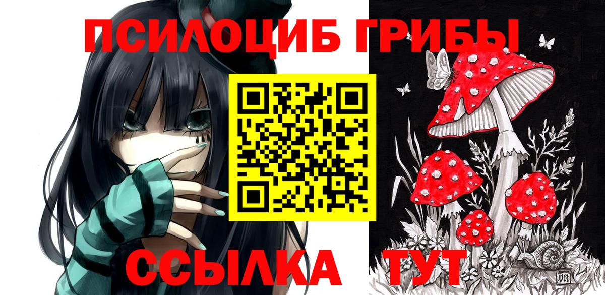 Псилоцибиновые грибы Cubensis Балашиха