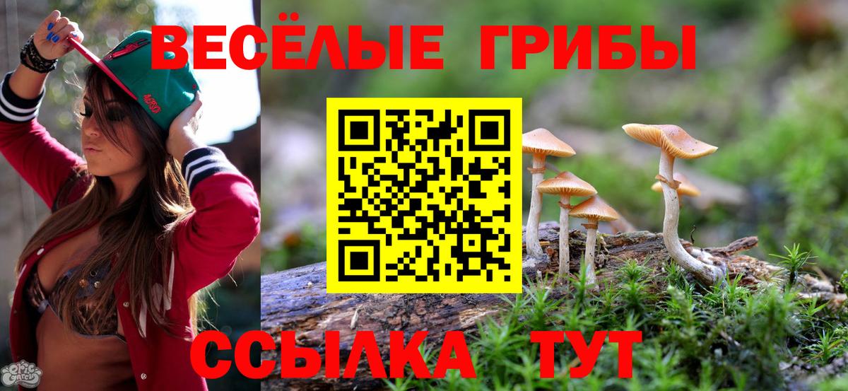 Балашиха  как найти закладки  Вход с VPN  Псилоцибиновые грибы ЛСД 